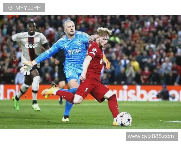 荷兰国家队足球明星的辉煌历程与未来展望