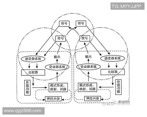 哥伦布机员与纳什的智慧较量探索人类决策的边界与可能性